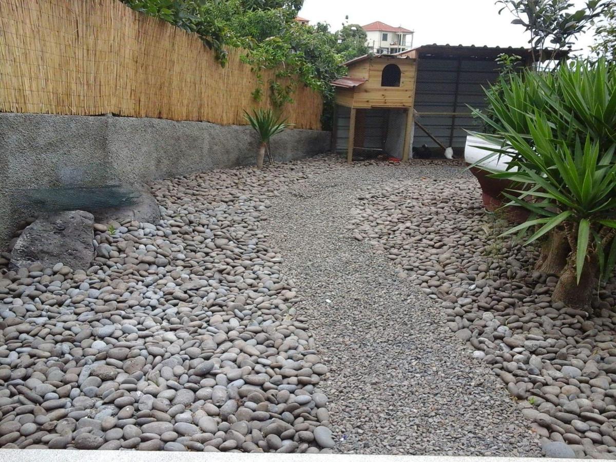 פונטה דלגדה Cottage Quinze, Contemporary Designed Cottage With Swimming Pool מראה חיצוני תמונה